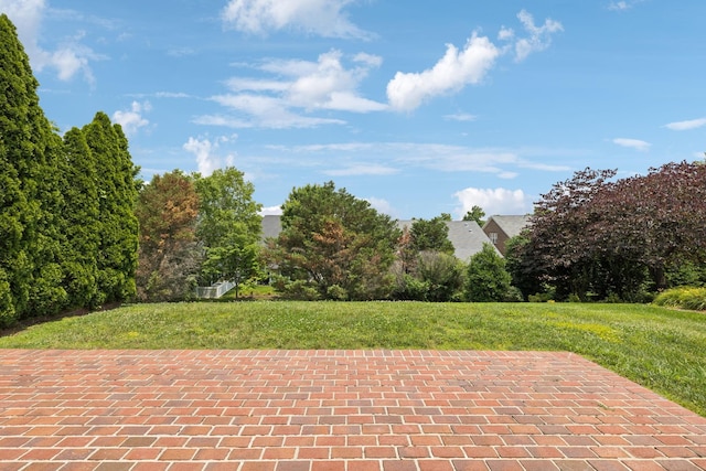 2025 Morrison Ave, Spring Hill, TN 37174 - view of patio