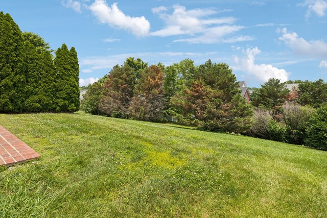 2025 Morrison Ave, Spring Hill, TN 37174 - view of green lawn