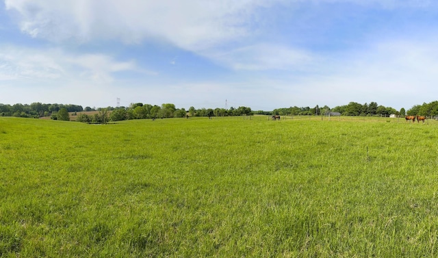 0 New Chapel Rd, Springfield, TN 37172 - photo 2