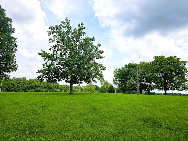 0 New Chapel Rd, Springfield, TN 37172 - photo 9