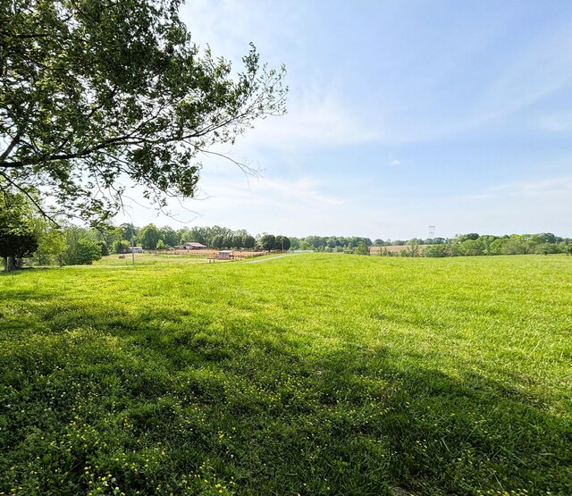 0 New Chapel Rd, Springfield, TN 37172 - photo 4