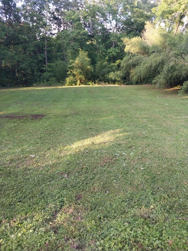 0 Wartrace Rd, Springfield, TN 37172 - photo 2