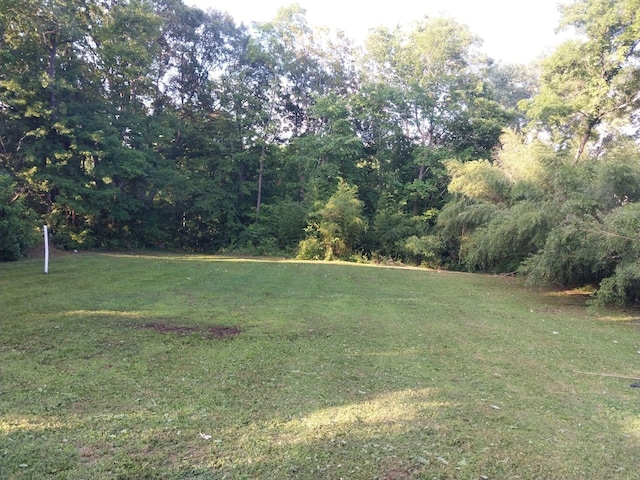 0 Wartrace Rd, Springfield, TN 37172 - photo 1