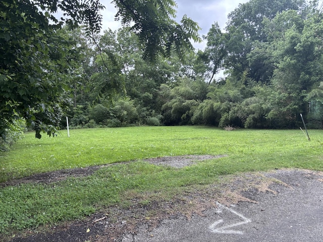 0 Wartrace Rd, Springfield, TN 37172 - photo 7