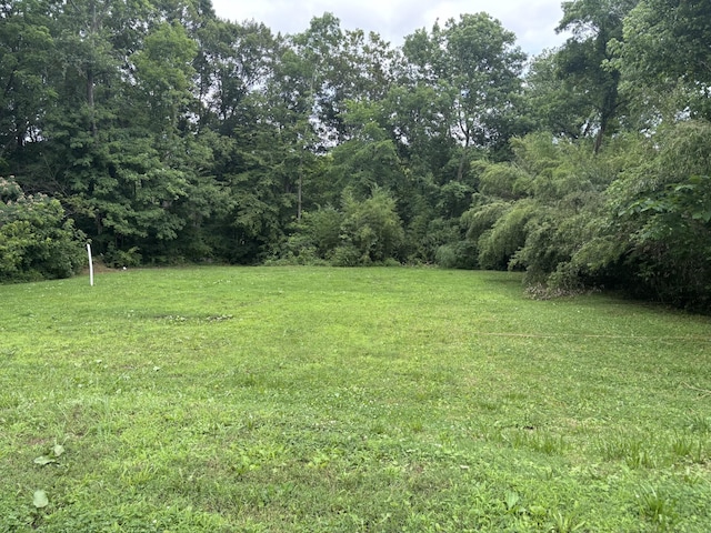 0 Wartrace Rd, Springfield, TN 37172 - photo 4