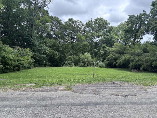 0 Wartrace Rd, Springfield, TN 37172 - photo 6