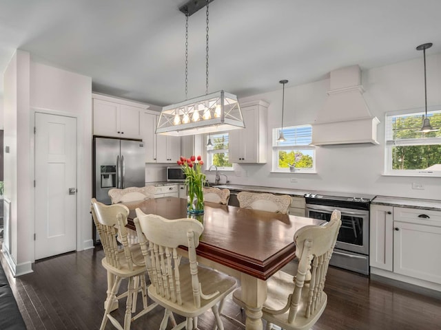 7811 Lampley Rd, Primm Springs, TN 38476 - kitchen featuring stainless steel appliances, premium range hood, plenty of natural light, and dark wood-style floors