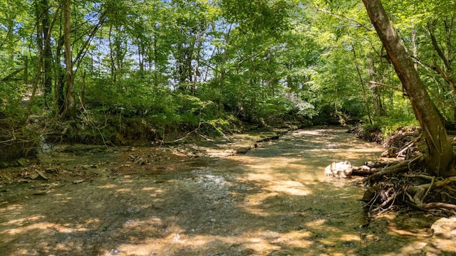 7811 Lampley Rd, Primm Springs, TN 38476 - view of local wilderness