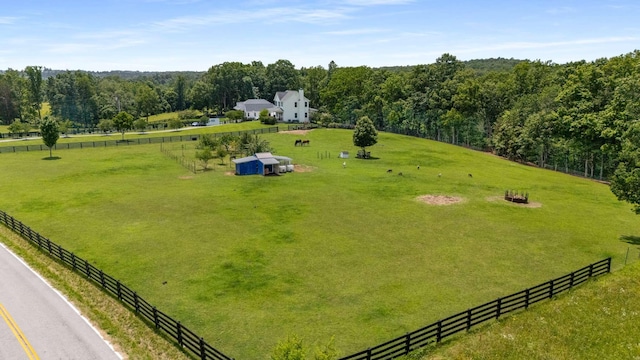 7811 Lampley Rd, Primm Springs, TN 38476 - view of rural area with agricultural land