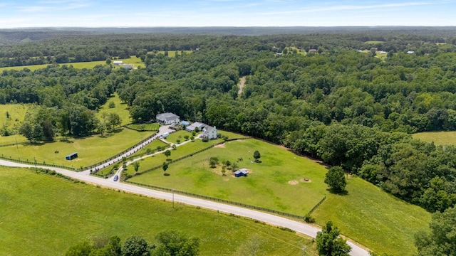 7811 Lampley Rd, Primm Springs, TN 38476 - view of rural area featuring a forest