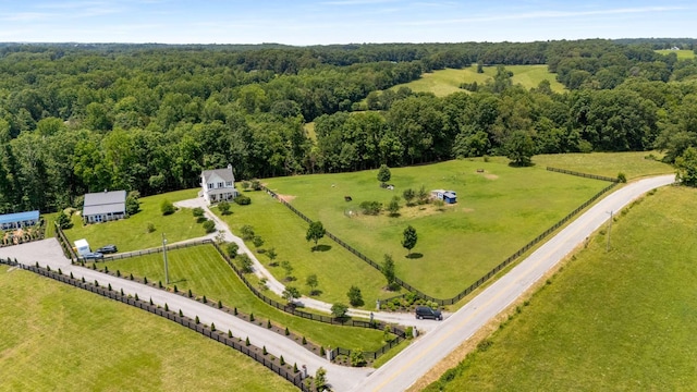 7811 Lampley Rd, Primm Springs, TN 38476 - bird's eye view of a forest