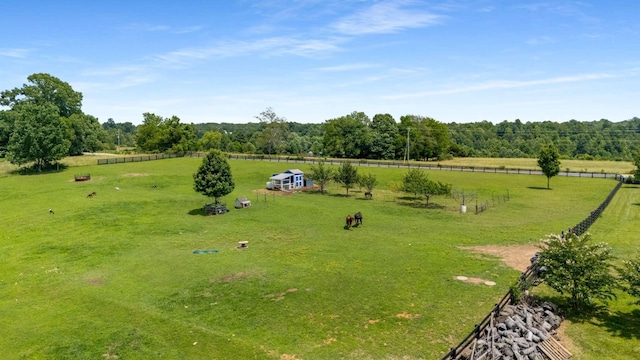 7811 Lampley Rd, Primm Springs, TN 38476 - overview of rural landscape with agricultural land