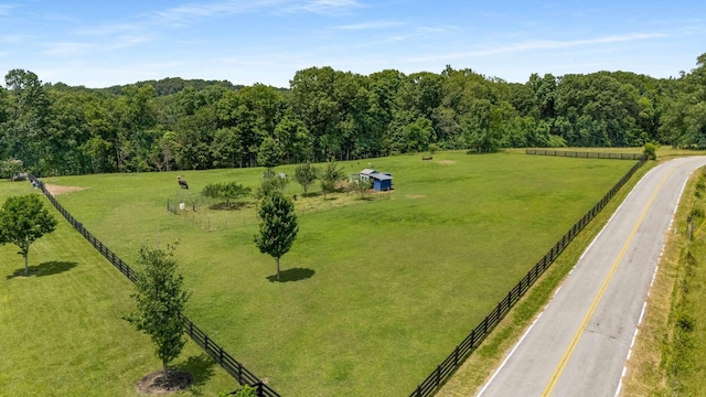7811 Lampley Rd, Primm Springs, TN 38476 - overview of rural landscape