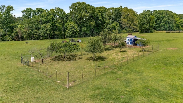 7811 Lampley Rd, Primm Springs, TN 38476 - view of yard with an outbuilding and a view of rural / pastoral area