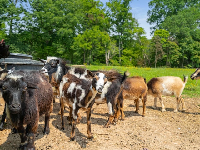 7811 Lampley Rd, Primm Springs, TN 38476 - horse barn with view of scattered trees