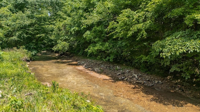7811 Lampley Rd, Primm Springs, TN 38476 - view of undeveloped land