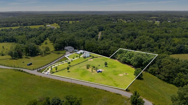 7811 Lampley Rd, Primm Springs, TN 38476 - view of rural area featuring property parcel outlined and a heavily wooded area