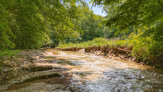 7811 Lampley Rd, Primm Springs, TN 38476 - view of woods