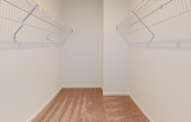 458 Jet Stream Dr, La Vergne, TN 37086 - spacious closet featuring carpet flooring