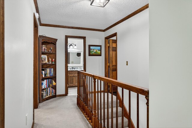 806 Manor Dr, Fayetteville, TN 37334 - photo 28