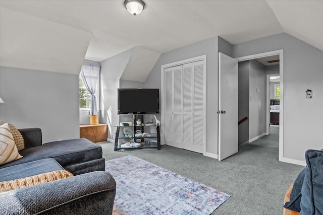 5455 Bales Rd, Cunningham, TN 37052 - living room with lofted ceiling and carpet floors