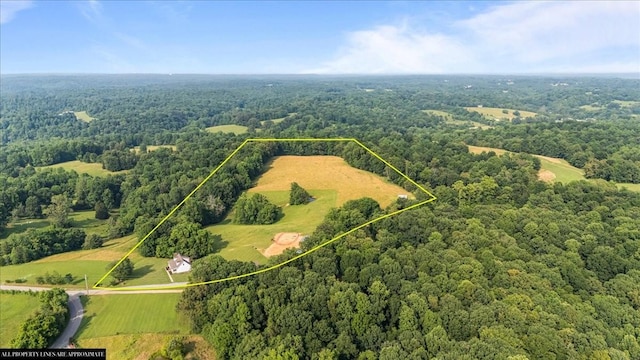 5455 Bales Rd, Cunningham, TN 37052 - view of property location with a heavily wooded area and property parcel outlined
