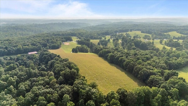 5455 Bales Rd, Cunningham, TN 37052 - bird's eye view of a heavily wooded area