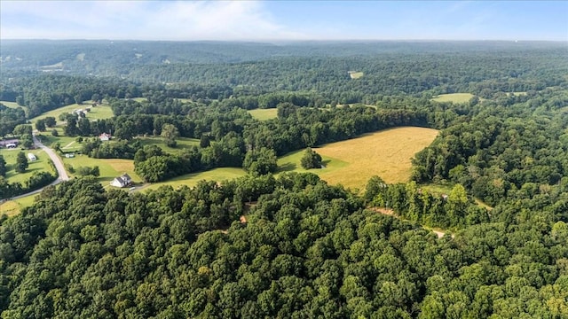 5455 Bales Rd, Cunningham, TN 37052 - aerial view of property's location featuring a forest