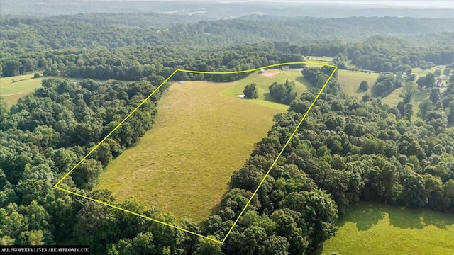 5455 Bales Rd, Cunningham, TN 37052 - view of property location with property boundaries highlighted