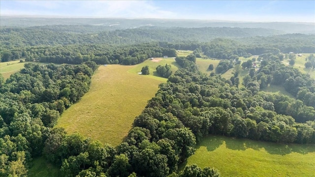 5455 Bales Rd, Cunningham, TN 37052 - aerial view of a heavily wooded area