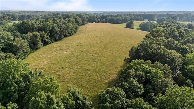 5455 Bales Rd, Cunningham, TN 37052 - aerial view of a forest