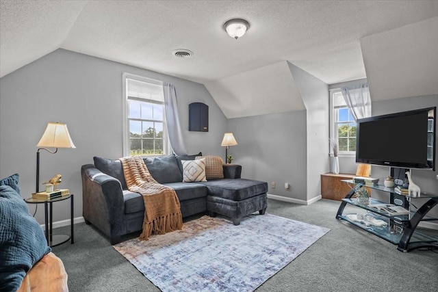 5455 Bales Rd, Cunningham, TN 37052 - carpeted living room featuring vaulted ceiling and a textured ceiling
