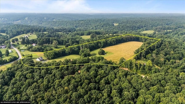 5455 Bales Rd, Cunningham, TN 37052 - aerial overview of property's location featuring property parcel outlined