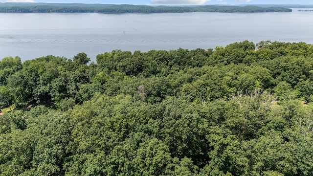 0 Eagle Shores Dr, Dover, TN 37058