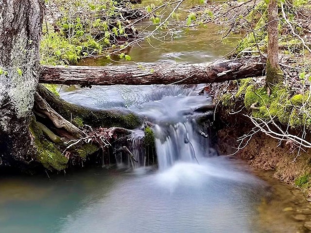 1697 Curtis Chapel Rd, Mc Ewen, TN 37101 - water view