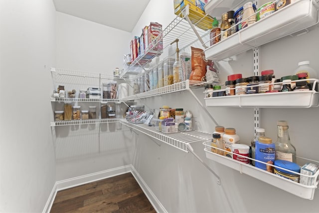 239 Mcclaran Pl, Murfreesboro, TN 37129 - view of pantry