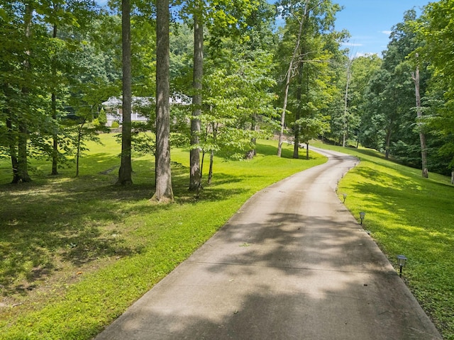 5956 Lickton Pike, Goodlettsville, TN 37072 - photo 48