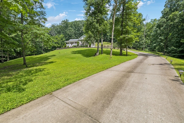 5956 Lickton Pike, Goodlettsville, TN 37072 - photo 2