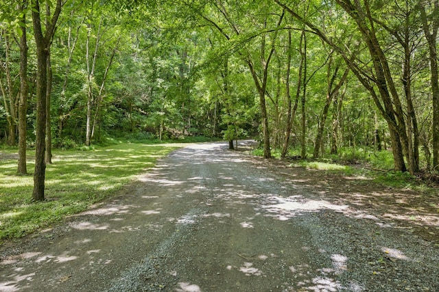 5956 Lickton Pike, Goodlettsville, TN 37072 - photo 47