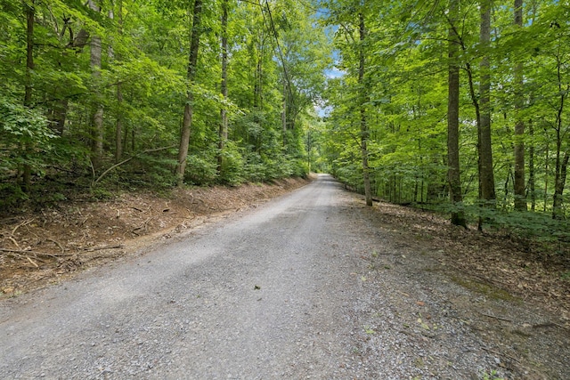 5956 Lickton Pike, Goodlettsville, TN 37072 - photo 49