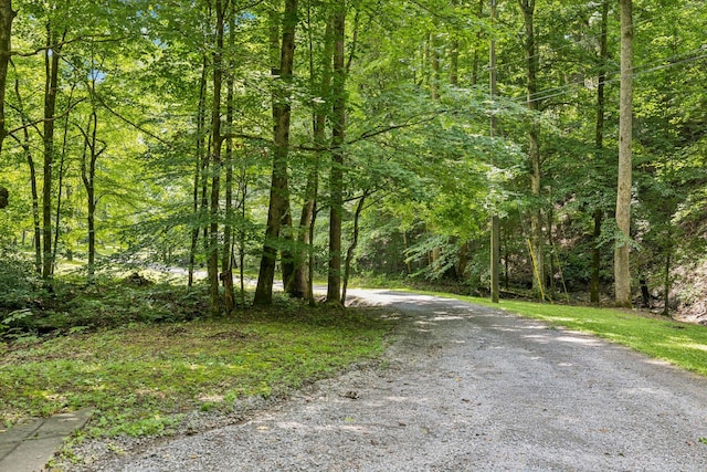 5956 Lickton Pike, Goodlettsville, TN 37072 - photo 51