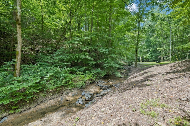 5956 Lickton Pike, Goodlettsville, TN 37072 - photo 50