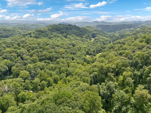5956 Lickton Pike, Goodlettsville, TN 37072 - photo 68