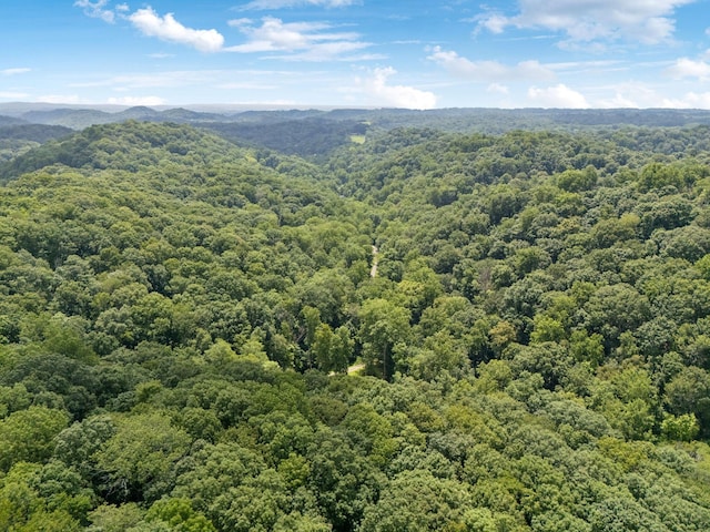5956 Lickton Pike, Goodlettsville, TN 37072 - photo 66