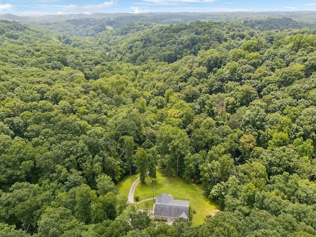5956 Lickton Pike, Goodlettsville, TN 37072 - photo 62