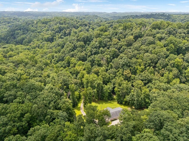 5956 Lickton Pike, Goodlettsville, TN 37072 - photo 64