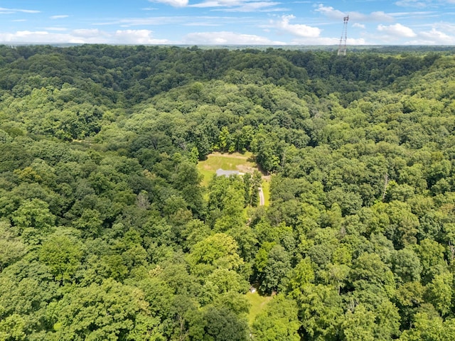 5956 Lickton Pike, Goodlettsville, TN 37072 - photo 67