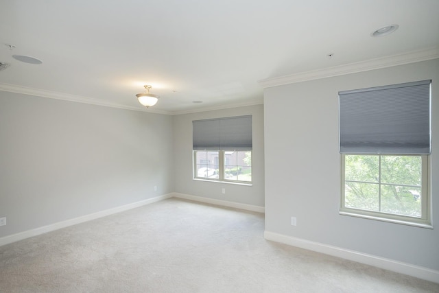 209 Bixby Private Ln, Hendersonville, TN 37075 - photo 26