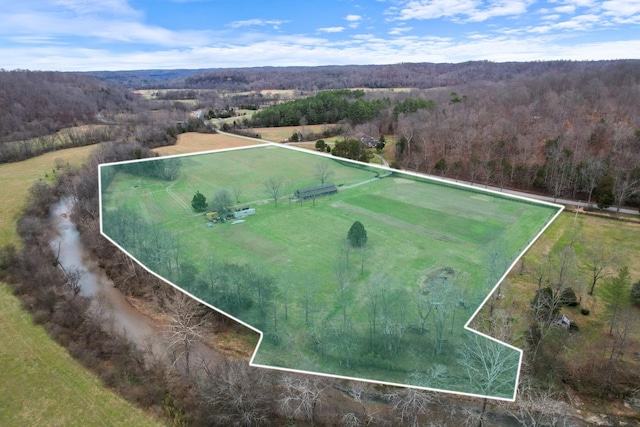 5285 Old Harding Rd, Franklin, TN 37064 - photo 12