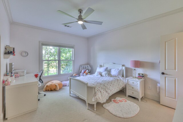 4288 Central Valley Rd, Murfreesboro, TN 37129 - photo 37